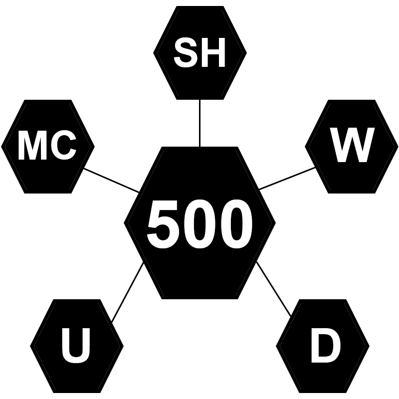 Crypto 500